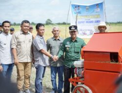 Pj Bupati Muaro Jambi Hadiri panen raya petani padi millenial